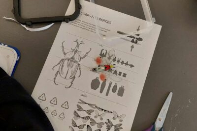 Agrandir l'image 3 sur 7, fenêtre modale