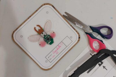 Agrandir l'image 4 sur 7, fenêtre modale