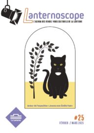 Agrandir l'image, fenêtre modale