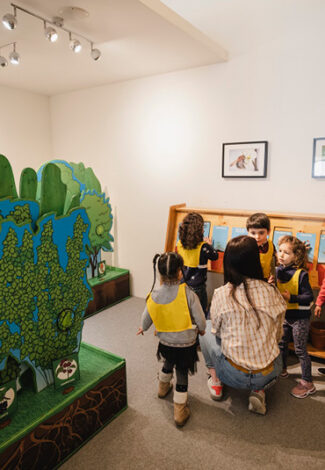 Agrandir l'image, fenêtre modale