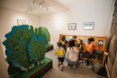 Agrandir l'image 2 sur 3, fenêtre modale