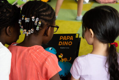 Agrandir l'image 3 sur 3, fenêtre modale