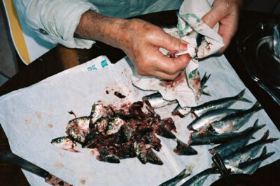 Agrandir l'image 2 sur 3, fenêtre modale