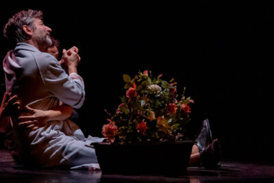 Agrandir l'image 1 sur 2, fenêtre modale