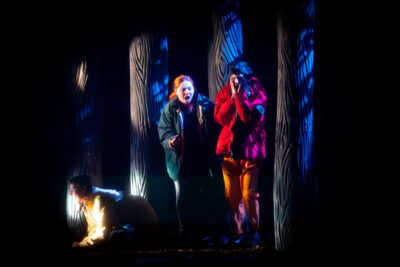 Agrandir l'image 3 sur 3, fenêtre modale