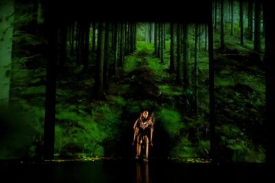 Agrandir l'image 3 sur 3, fenêtre modale