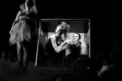 Agrandir l'image 1 sur 3, fenêtre modale