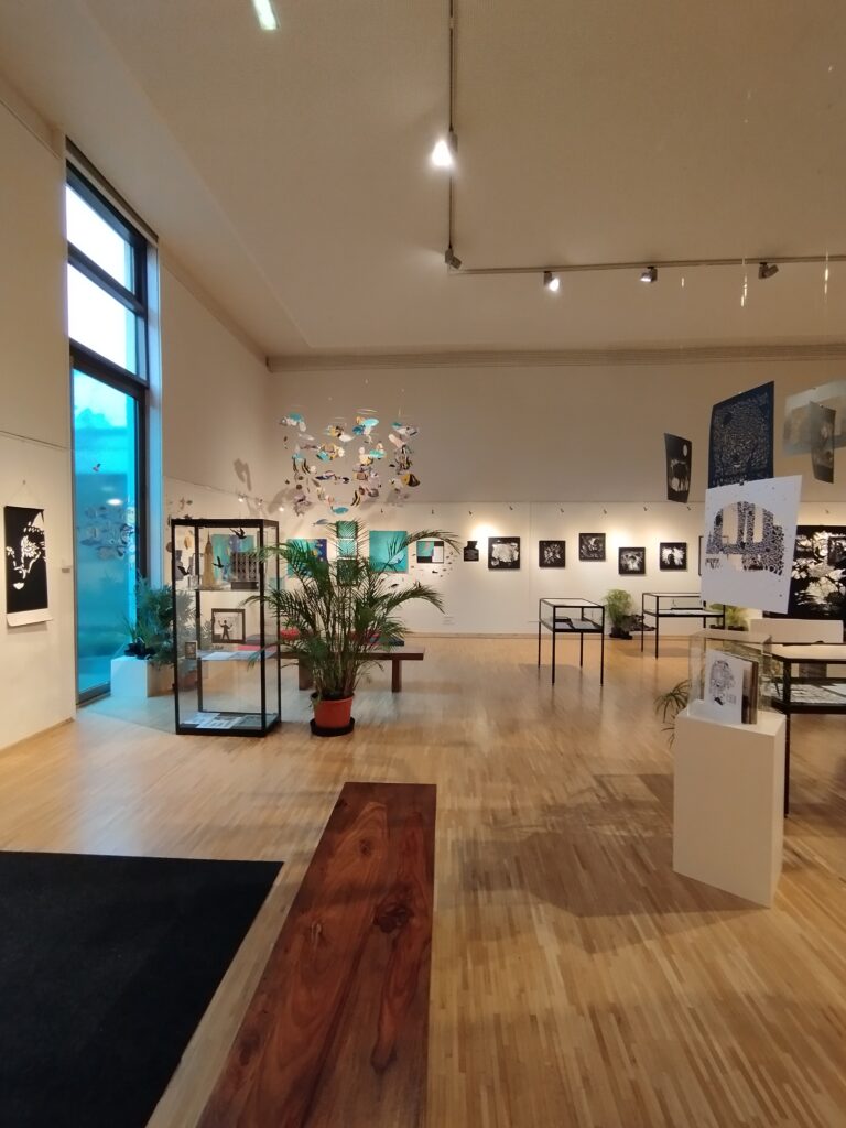 Agrandir l'image, fenêtre modale