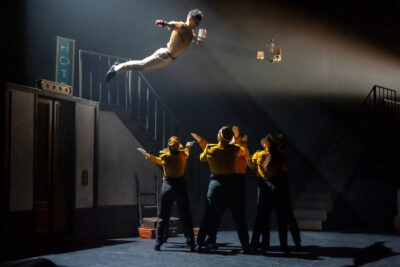 Agrandir l'image 3 sur 3, fenêtre modale