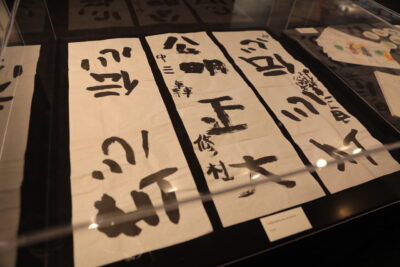 Agrandir l'image 2 sur 3, fenêtre modale