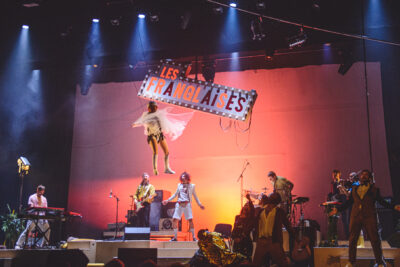 Agrandir l'image 3 sur 3, fenêtre modale