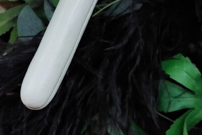 Agrandir l'image 3 sur 8, fenêtre modale