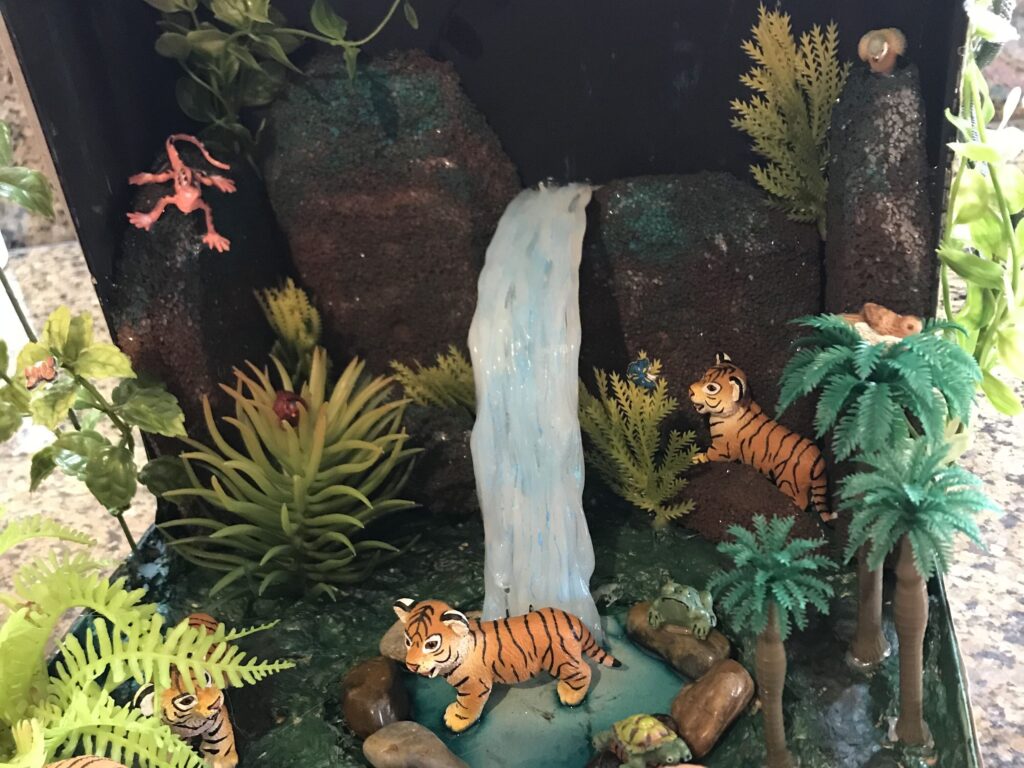 Agrandir l'image, fenêtre modale