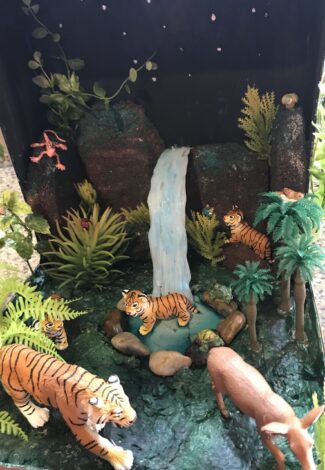 Agrandir l'image, fenêtre modale