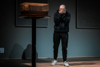 Agrandir l'image 1 sur 5, fenêtre modale