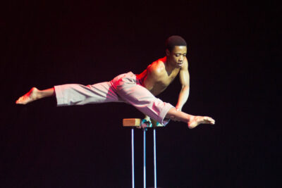 Agrandir l'image 2 sur 9, fenêtre modale