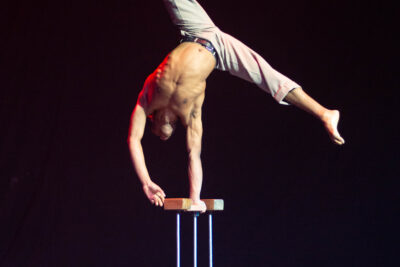 Agrandir l'image 9 sur 9, fenêtre modale