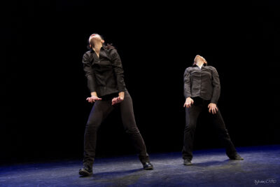 Agrandir l'image 5 sur 6, fenêtre modale