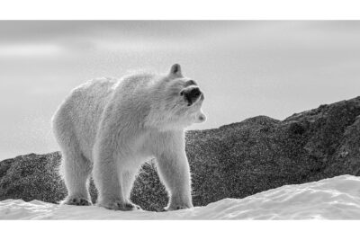 Agrandir l'image 4 sur 6, fenêtre modale