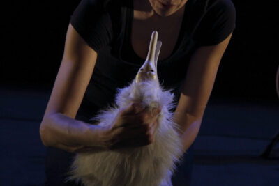 Agrandir l'image 7 sur 8, fenêtre modale