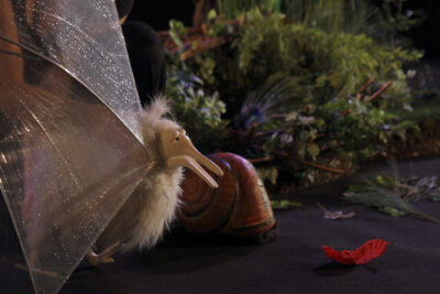 Agrandir l'image 8 sur 8, fenêtre modale