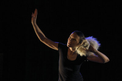 Agrandir l'image 5 sur 8, fenêtre modale