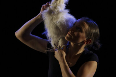 Agrandir l'image 6 sur 8, fenêtre modale