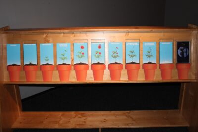 Agrandir l'image 2 sur 5, fenêtre modale