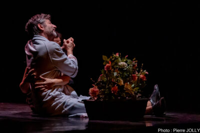 Agrandir l'image 2 sur 3, fenêtre modale