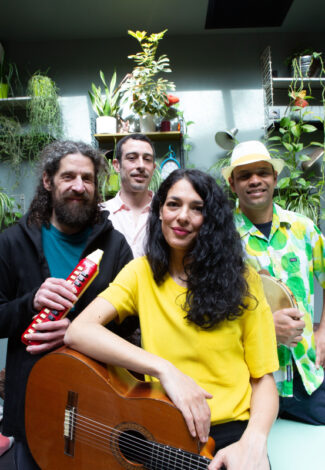 Agrandir l'image, fenêtre modale